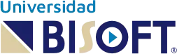 logo bisoft